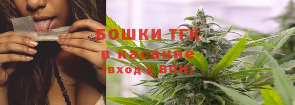мяу мяу мука Бородино
