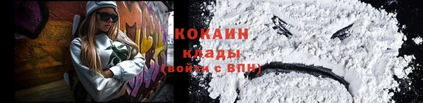 mix Богородицк