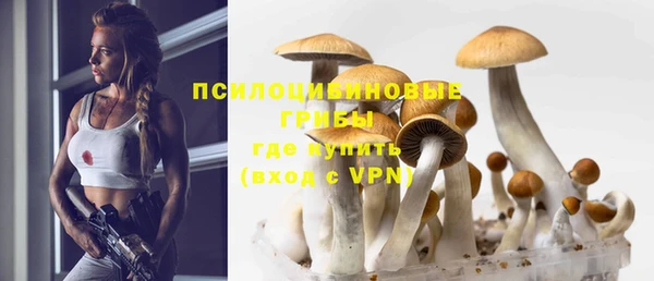 MDMA Богданович