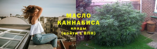 mix Богородицк