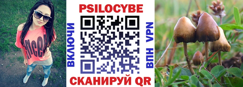 Псилоцибиновые грибы GOLDEN TEACHER  Екатеринбург 